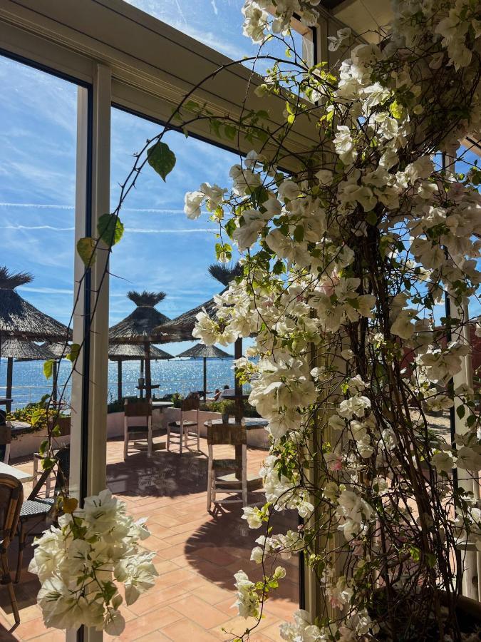 Hotel La Potiniere Hyères Exterior foto